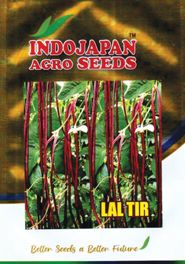 Packet 21